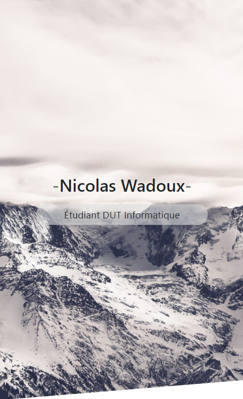 Image représentation de ce portfolio